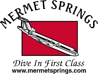 Mermet Springs Dive In First Class Logo
